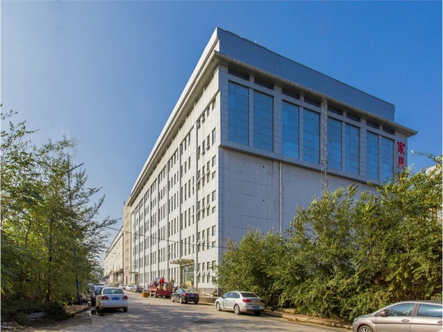 河南加拿大铁杉哪里有